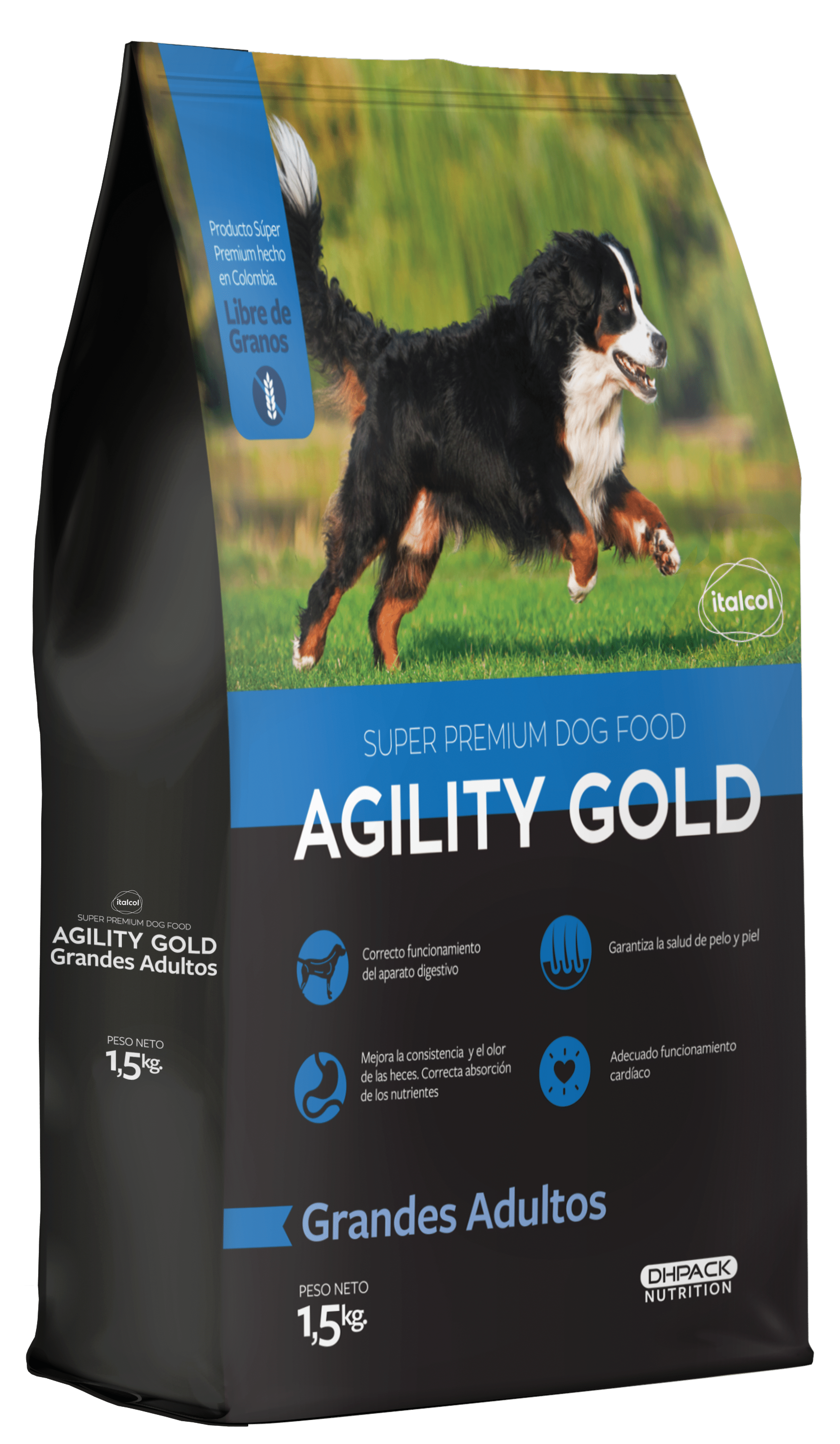 Agility Grande Adultos