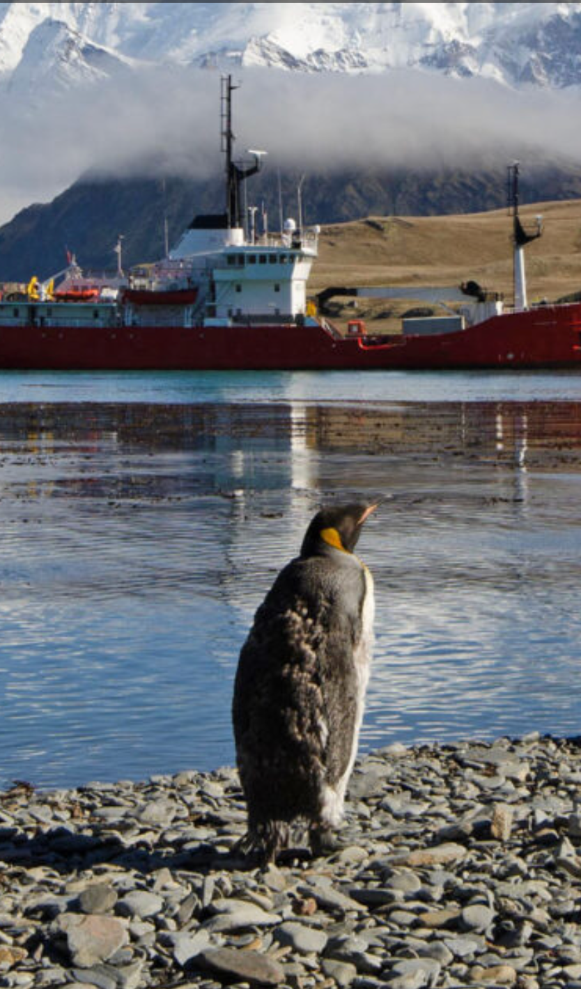 Antarctica is offering paid employment opportunities - with room and board provided and pay reaching up to £100 000