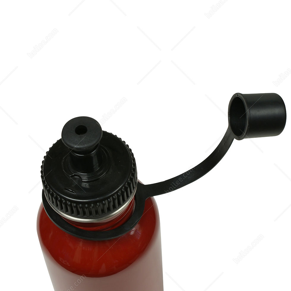 Thumbnail: SF-16: S/S Bottle 600ml