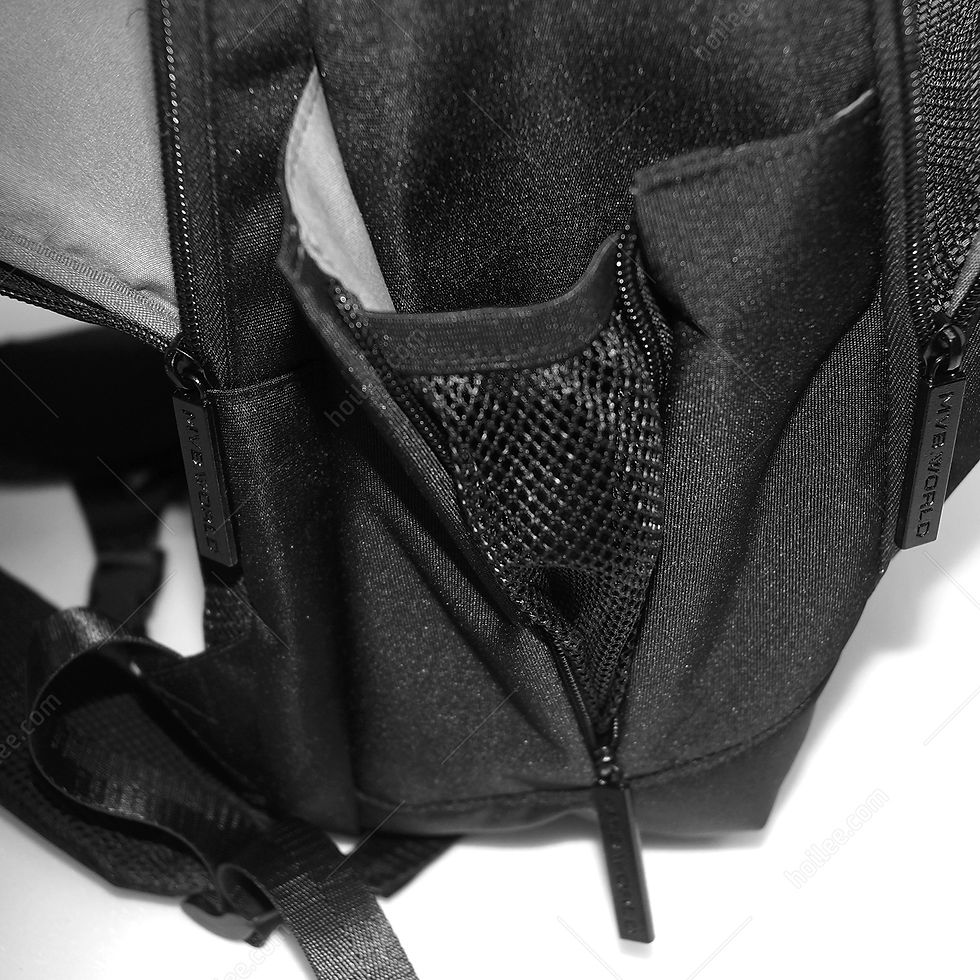 Thumbnail: 89205: Travel Laptop Backpack