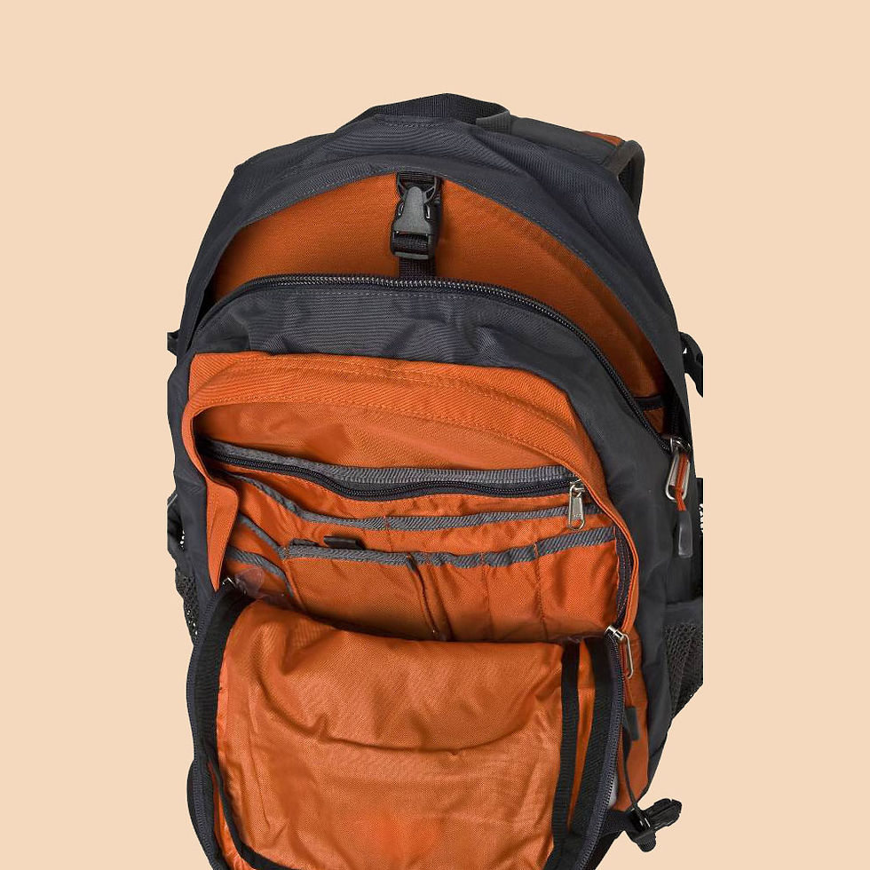 Thumbnail: 86182: Travel Backpack