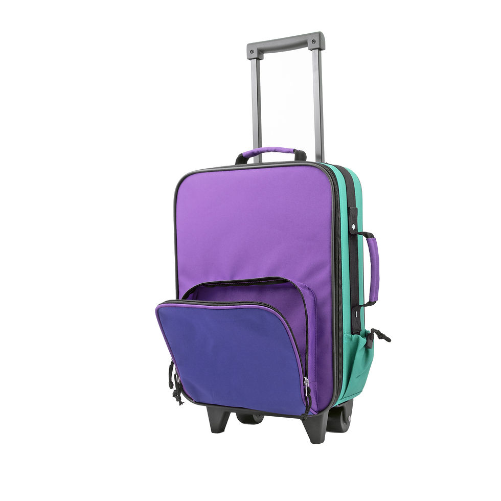 Thumbnail: SL-4236: Softside Harrycarry Luggage