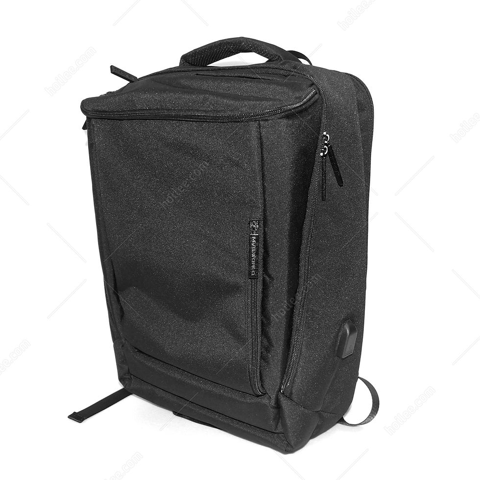 Thumbnail: 89205: Travel Laptop Backpack