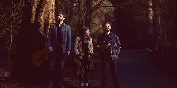 Animals & Jolliff.webp