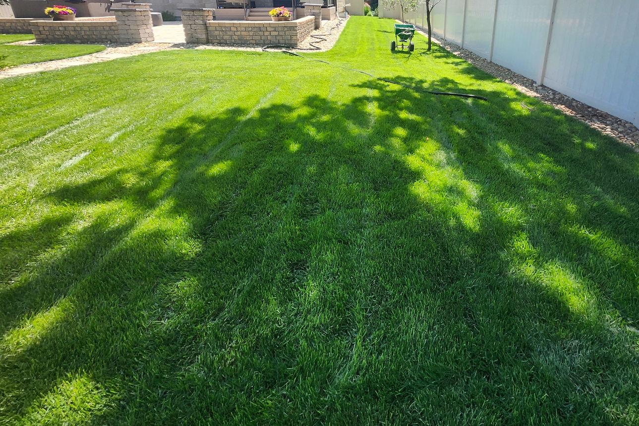 20250708_141607 - Copy_edited_edited.jpg