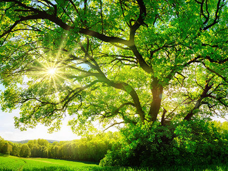 The Preparation Guide to be Ready for Summer Solstice