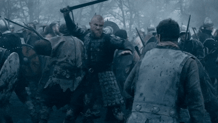 BrightCircularEider-size_restricted.gif