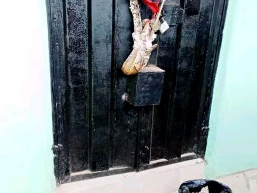 (QUICKLY READ) Woman Dumps Snake Charm At The Shop Of Lady Who Snatched Her Husband