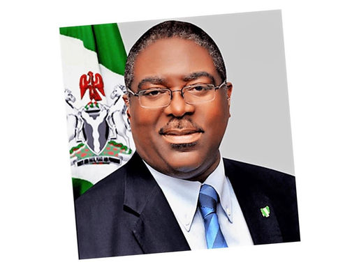 Nigerians talk a lot on phone, Communication tax isn’t harmful – Fowler