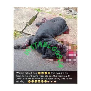 OMG: Dog killed while attacking 