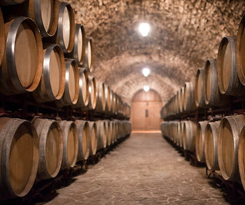 Untitled design (10).png