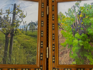 Geek Out on These: The Willamette Valley Wineries That Go Beyond the Glass