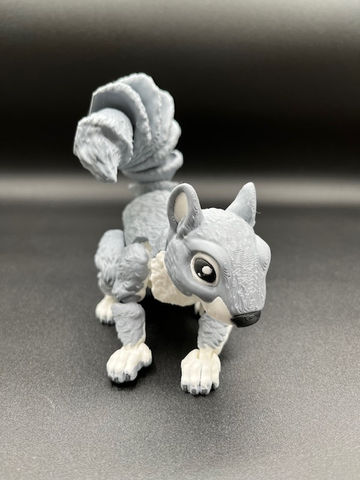 Squirrel