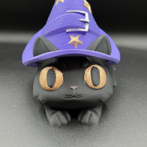 Cat in a Hat