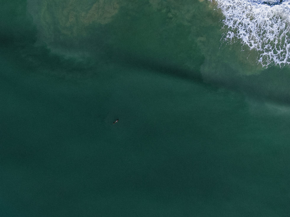 DJI_0357-2_edited.jpg