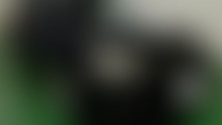 №256 ・トヨタ クラウンエステート ・チタンコート