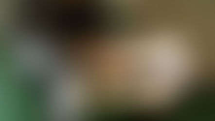 №156 ・ニッサンエクストレイル ・エシュロン