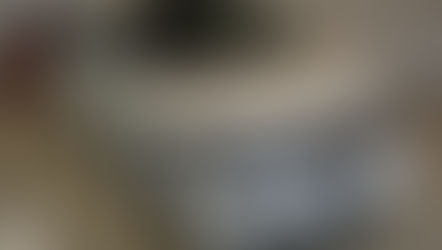 №553   ・ホンダ シビックタイプＲ ・ＲＹＵＳＵＩ月塊 