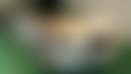 №53 ・トヨタゼロクラウン ・エシュロン