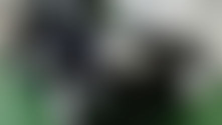 №238   ・ニッサンエクストレイル ・エシュロンコート