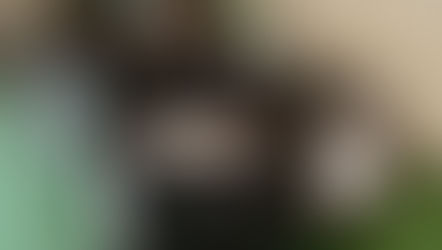 №177 ・VWトゥアレグ ・グラステックコート