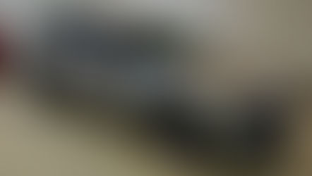 №730 ・VWパサートヴァリアアント ・新RYUSUI