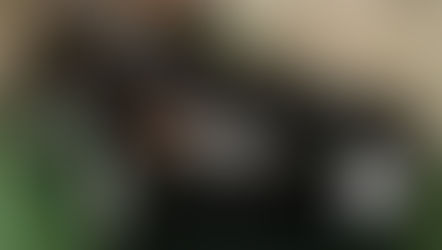 №190 ・ボルボV70 ・エシュロン