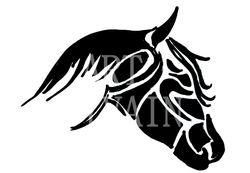 TESTA DI CAVALLO ART