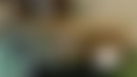 №194 ・ニッサンラシーン ・アークバリア21