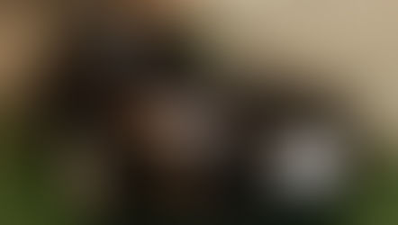 №178 ・アウディA4 ・グラステックコート