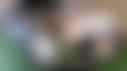 №131 ・ニッサン R35GTR ・グラステックコート