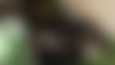 №114   ・ニッサンムラーノ ・グラステックコート