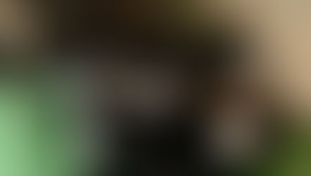 №168 ・トヨタヴァンガード ・グラステックコート