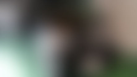 №85   ・ダイハツアトレー ・アークバリア21