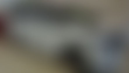 №745 ・トヨタアルファード ・新RYUSUI