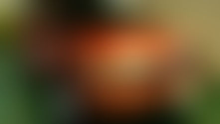 №7 ・ニッサンムラーノ ・アークバリア21