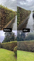 Before and after images of a neatly trimmed hedge beside a road