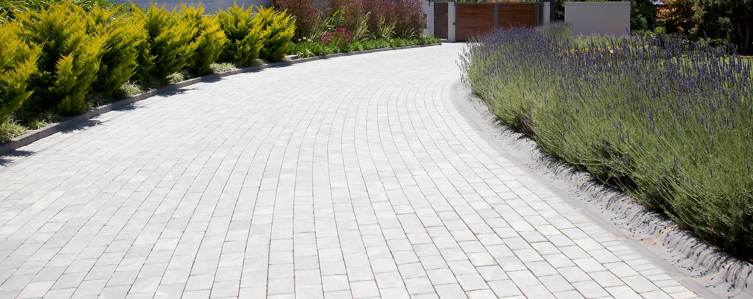 Plants along cobblestone driveway