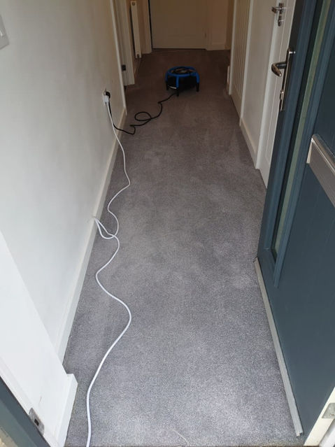 A hallway with a vacuum cleaner lying on the floor, ready to be used for cleaning purposes.