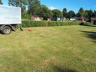 A freshly mowed lawn bordered by a hedge, with a white truck visible on the left