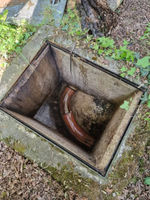 Outdoor concrete gully trap with curved clay pipe entry surrounded by garden foliage and debris