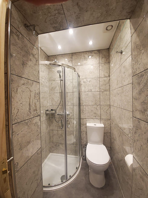 A washroom with a toilet seat and shower area