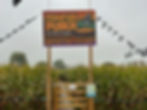 Corn maze entrance under a cloudy sky features a colourful "Pumpkin Punch" sign with a witch illustration