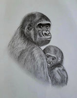 Portrait of a gorilla and her baby