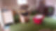 A cluttered room with green carpet, a floral armchair, a wooden dresser, and boxes full of items