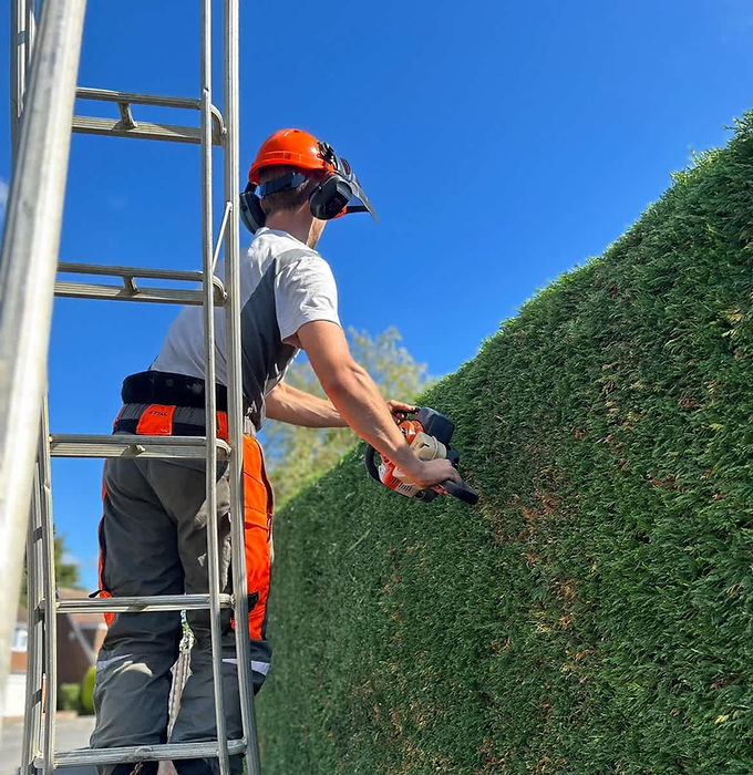 Great Wood Trees And Landscaping at work, completing a hedge trimming job