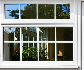 A white-framed window with a grid pattern reflects outdoor trees and sky