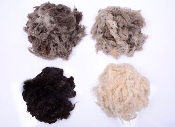 Mix Afghan Cashmere - Greasy.JPG