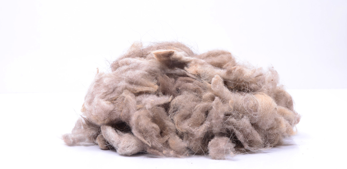 Fawn Afghan Cashmere - Greasy 