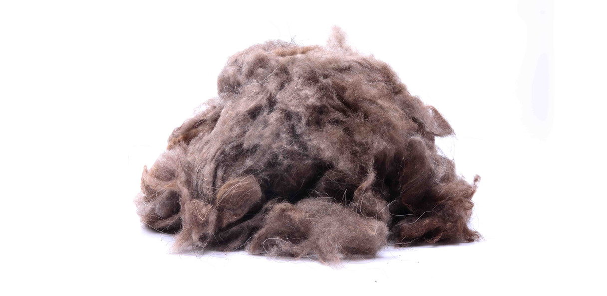 Fawn Afghan Cashmere - Greasy 